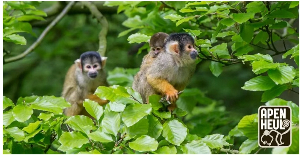 Image035.jpg Image035.jpg